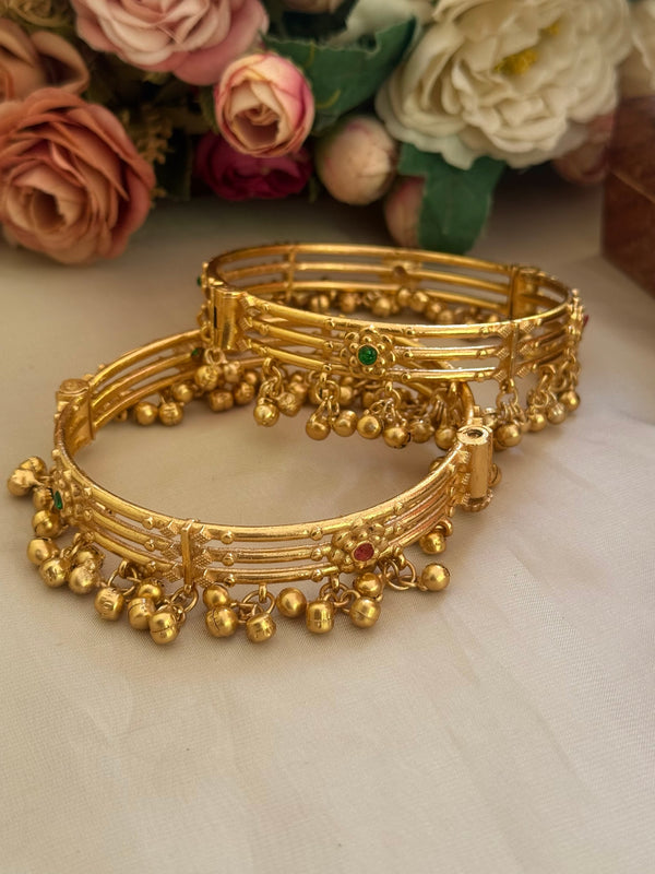 A-golden barss Payal image 1