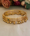 A-golden barss Payal
